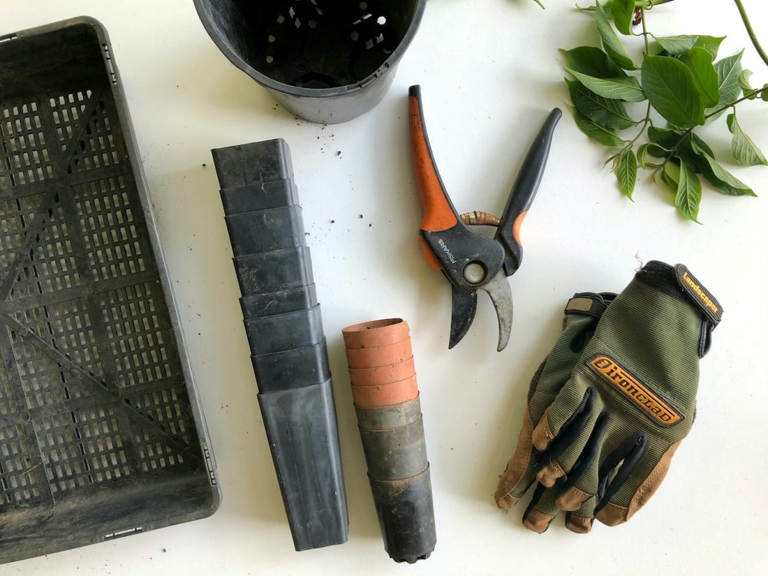 Gardening tools every beginner should have in their shed.