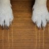 This is how you can repair pet scratches in your home.