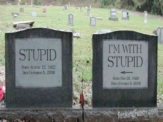 Headstones- I'm with Stupid